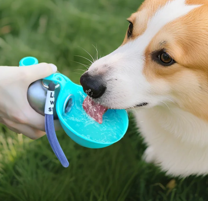 2-in-1 dog water bottle.